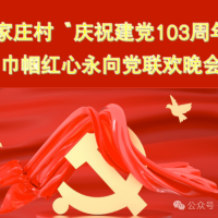 【關(guān)注】煥云紅色文化示范村——劉家莊村舉行“慶七一巾幗紅心永向黨”活動